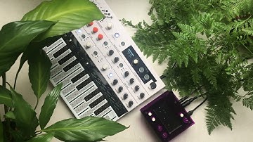 Arturia Microfreak and Norns Shield (Bounds Script) - Ambient