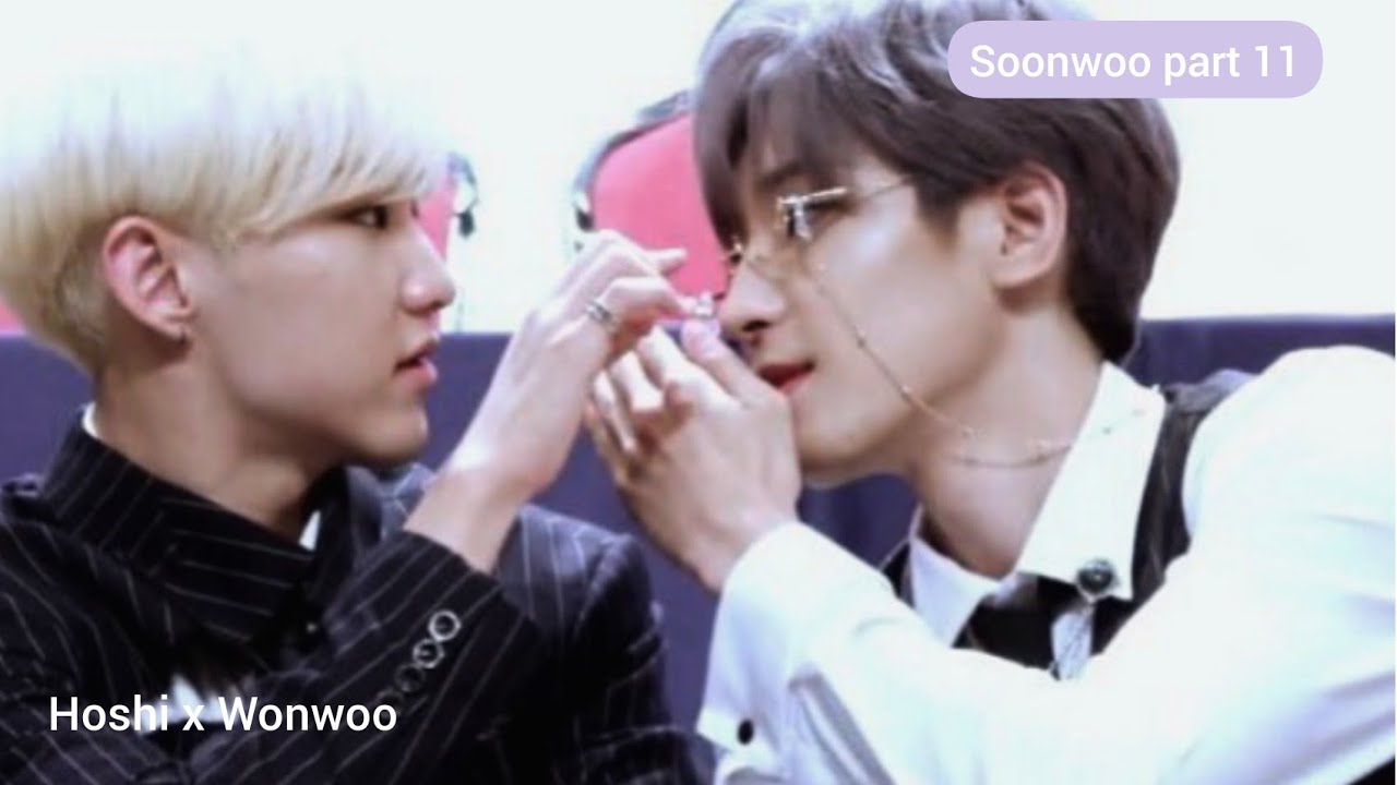 [세븐틴 호시/원우] 원순 커플 part11