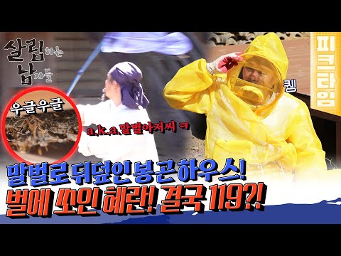 [#피크타임] 비워뒀더니 말벌에게 점령당한 집!?😱 진천 말벌아저씨 봉곤의 말벌 소탕 작전 | #살림하는남자들 | KBS 220924 방송