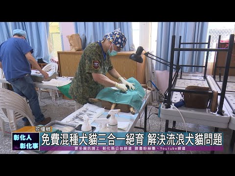 111-08-03 花壇鄉犬貓絕育 免費混種犬貓三合一下鄉絕育
