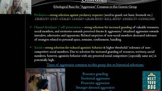 The Aggression in Dogs Conference - Kim Brophey Sneak Peek