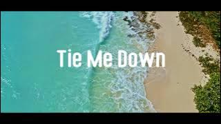 DJ SLOW!!! Remix - Gryffin feat. Elley Duhe  - Tie Me Down