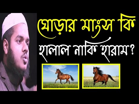 ভিডিও: ঘোড়ারা কী খায় এবং পান করে?