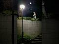 Boy’s Mosquito Spray Lamp Mistake! #shorts