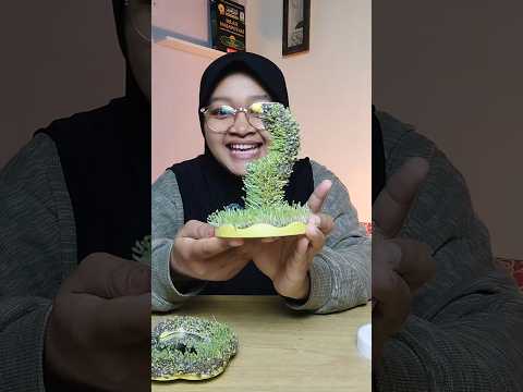 update percobaan numbuhin chia seed di barang rumah ngga nyangka jadi gini