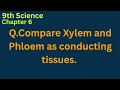 Compare   Xylem and Phloem   as conducting tissues. Why is xylem called dead tissue