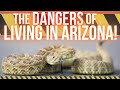 Arizona Hazards & Dangers To Pay Attention Too!