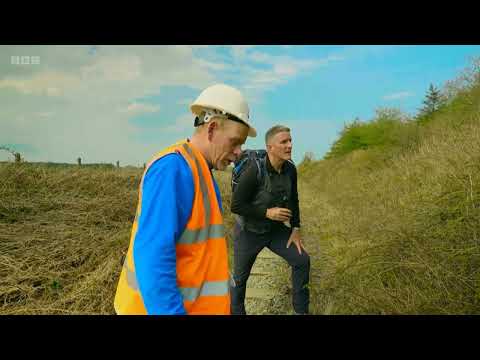 Adders on Iolo's Angelsey (2022)