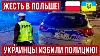 В Польше украинцы открыли двери польской полиции и вот что получилось