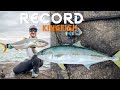 Record kingfish desde orilla 53 kg  shore jigging chile 