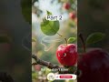 The Apple That Wanted to Fly | Part 2 | The First Flight | Inspirational Moral Story for Kids