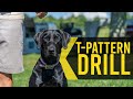 T Pattern Drill - Duck Dog Training