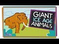5 Giant Ice Age Animals | Natural History for Kids
