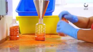D All | Miguelito Candy Factory | Channel 11 screenshot 5