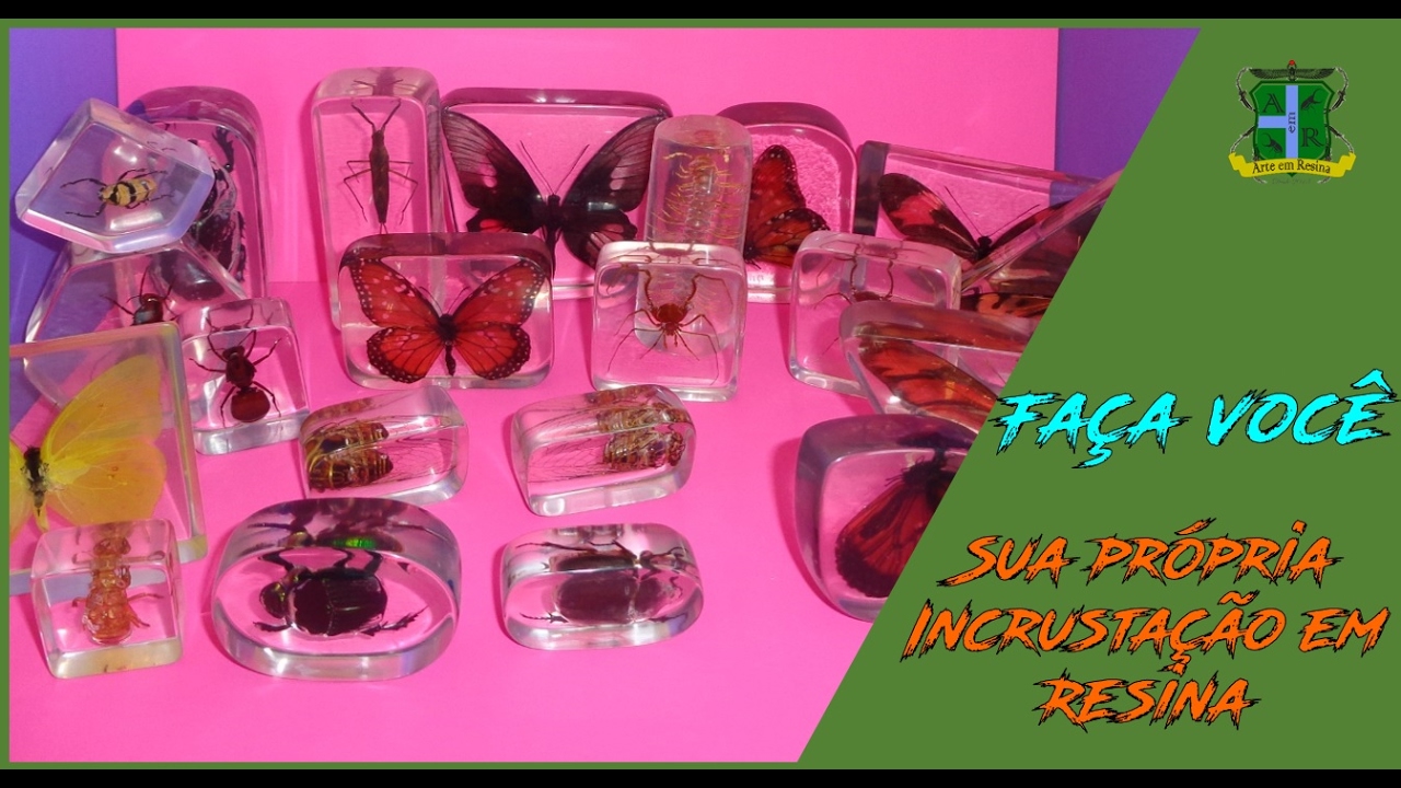 Incrustação de Insetos em Resina - Passo a Passo - Arte em Resina