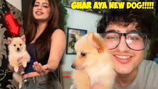 Aaj Ghar aya New DOG *Excited*