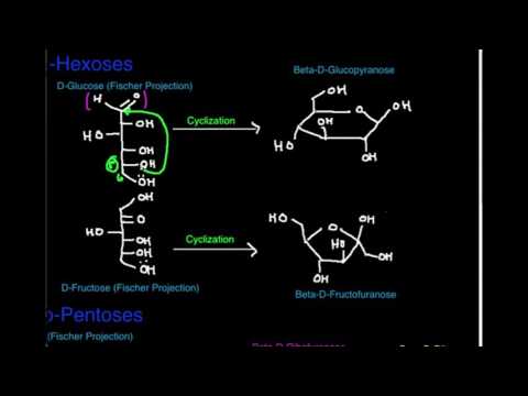 کاربوہائیڈریٹ کی ساخت: Aldohexoses اور Ketohexoses