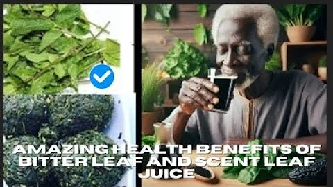 15 Powerful Healing Benefits of Bitter Leaf and Scent Leaf Juice