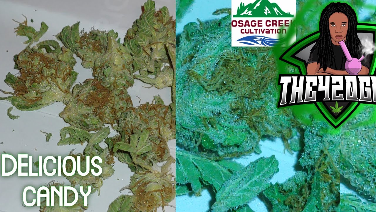 Delicious candy - Osage Creek - Medical Marijuana Review (THE420GUY)