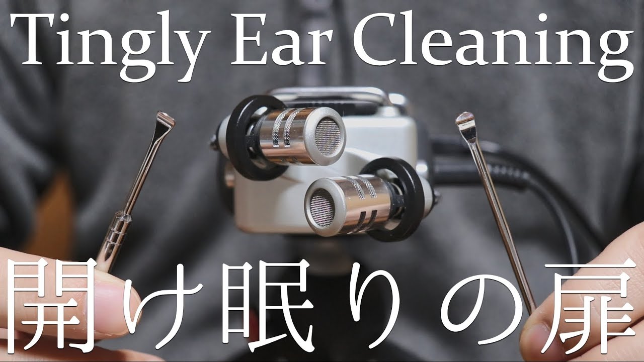 ASMR ステンレス耳かきで眠りスイッチを押す
