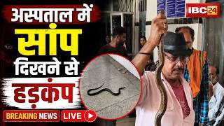 Sagar District Hospital में सांप दिखने से मचा हड़कंप | सांप को रेस्क्यू कर निकाला गया बाहर