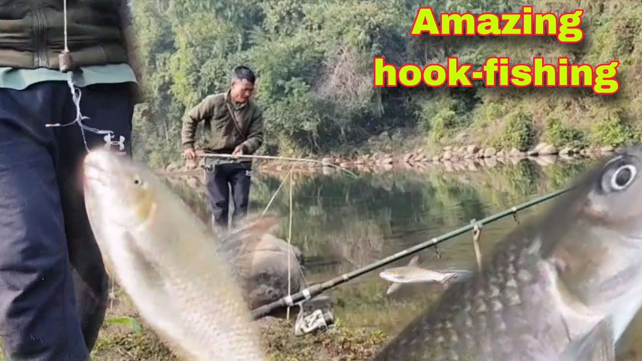 Amazing Hookfishing || Rohu Fish || Village Fresh River