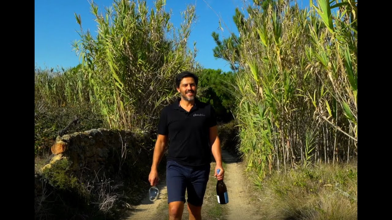 Vinhos de Colares | Hélder Cunha Winemaker - Powered by Casca Wines