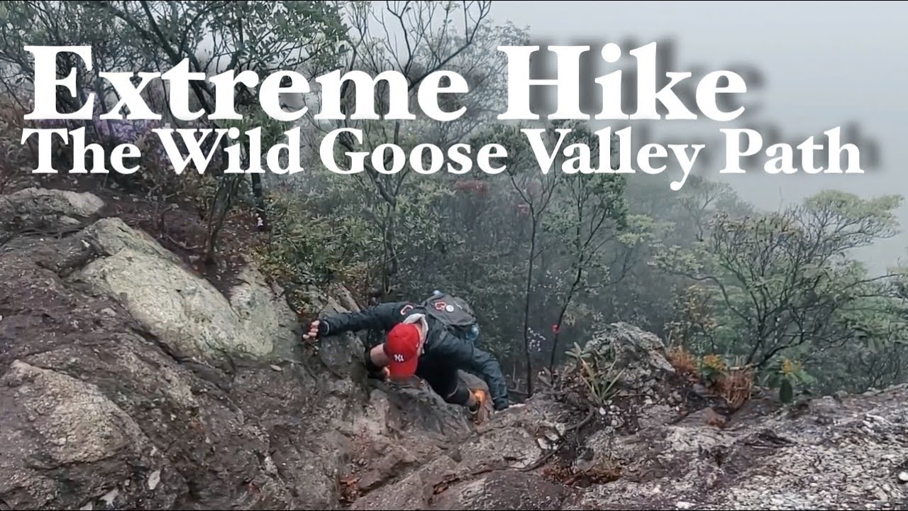 Wild Goose Valley Path to Tiu Shau Ngam & Ma On Shan - Extreme hike