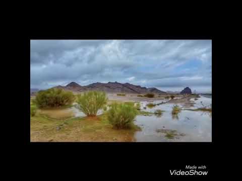 قالوا لي اديرنا سقتها الهماليل لها شهر غر المزون اتغسلها