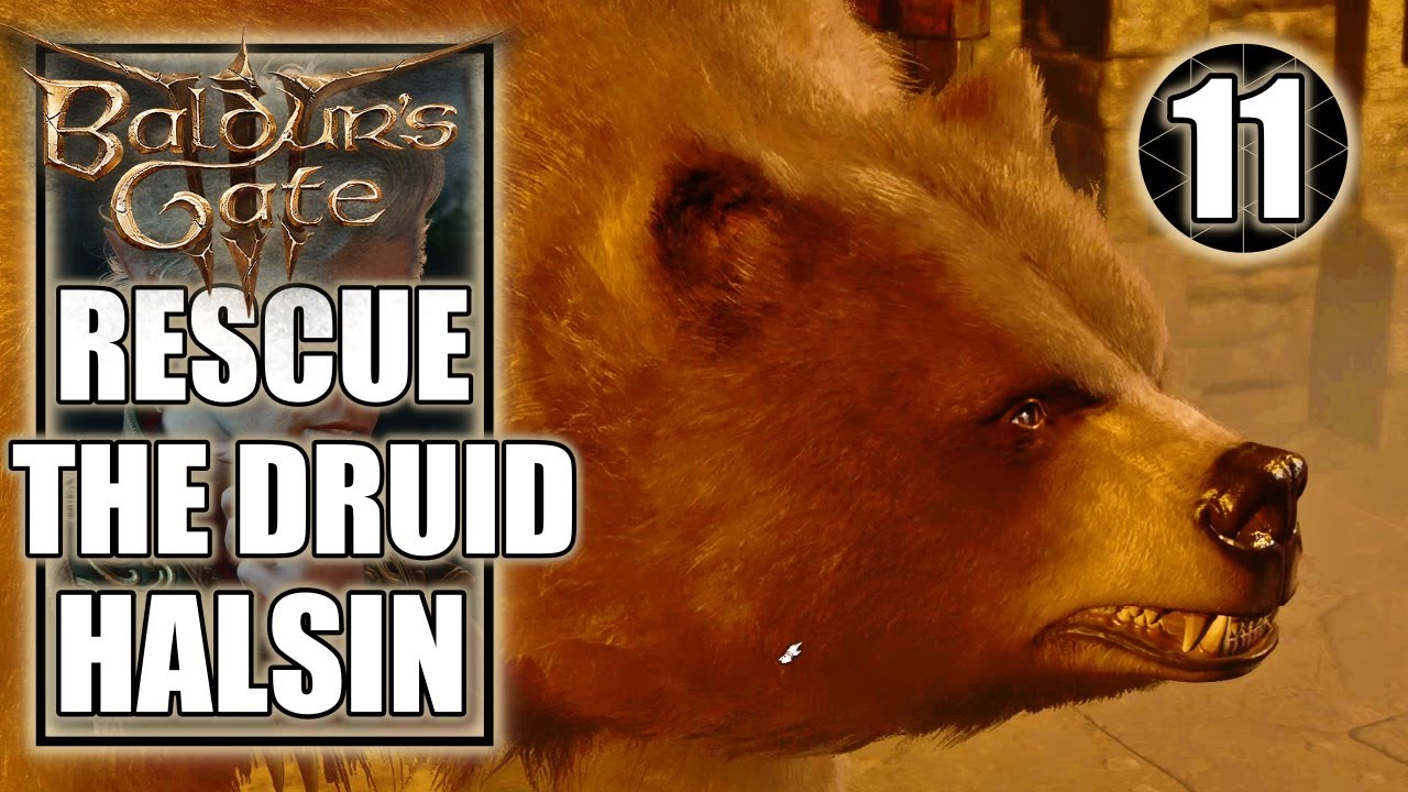 Rescuing the Druid Halsin - Baldur's Gate III Guide - IGN