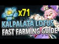 Kalpalata lotus 71 locations fast farming guide timestamps  genshin impact 30