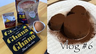 【Vlog#6】素人が作るミッキーのテリーヌショコラ