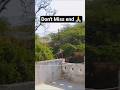 monkey 🐒 stund #viralcomedy#shorts#monkey#viralmonkey#trending#viral