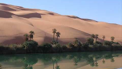 تلاوة شجية هادئة تلامس القلوب