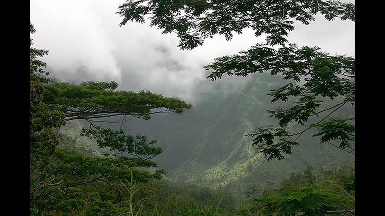 Самый влажный климат в мире. Тутунендо Колумбия. Гора Вайалеале. Места с влажным климатом. Самая дождливое место на Кавказе.