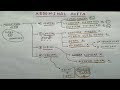 Abdominal Aorta Branches | Part 1 | Anterior, Posterior, Medial, and Terminal Branches