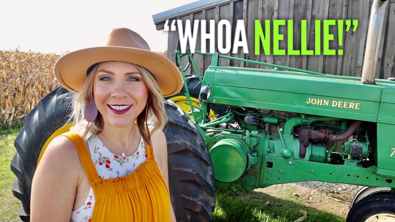 RVing Pennsylvania Whoa Nellie Dairy Farm 🌽 Corn Maze & Hay Ride 🚜 RV