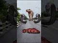 Big Anaconda vs dinosaur T-Rex fight scene#dinosaur​#anaconda​#jurassicworld​#shorts​#youtubeshorts​