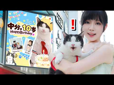 注意看，这个女人给猫过生日，居然包下了个广告屏？！｜花花与三猫 Cat Live