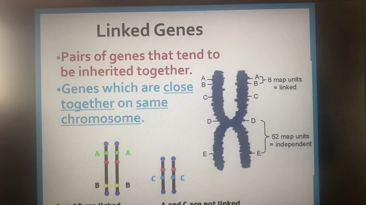 Montesano ap- linked genes