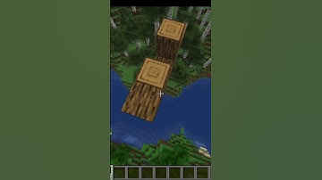 Scaffolding in Minecraft Java (=θωθ=)￼￼