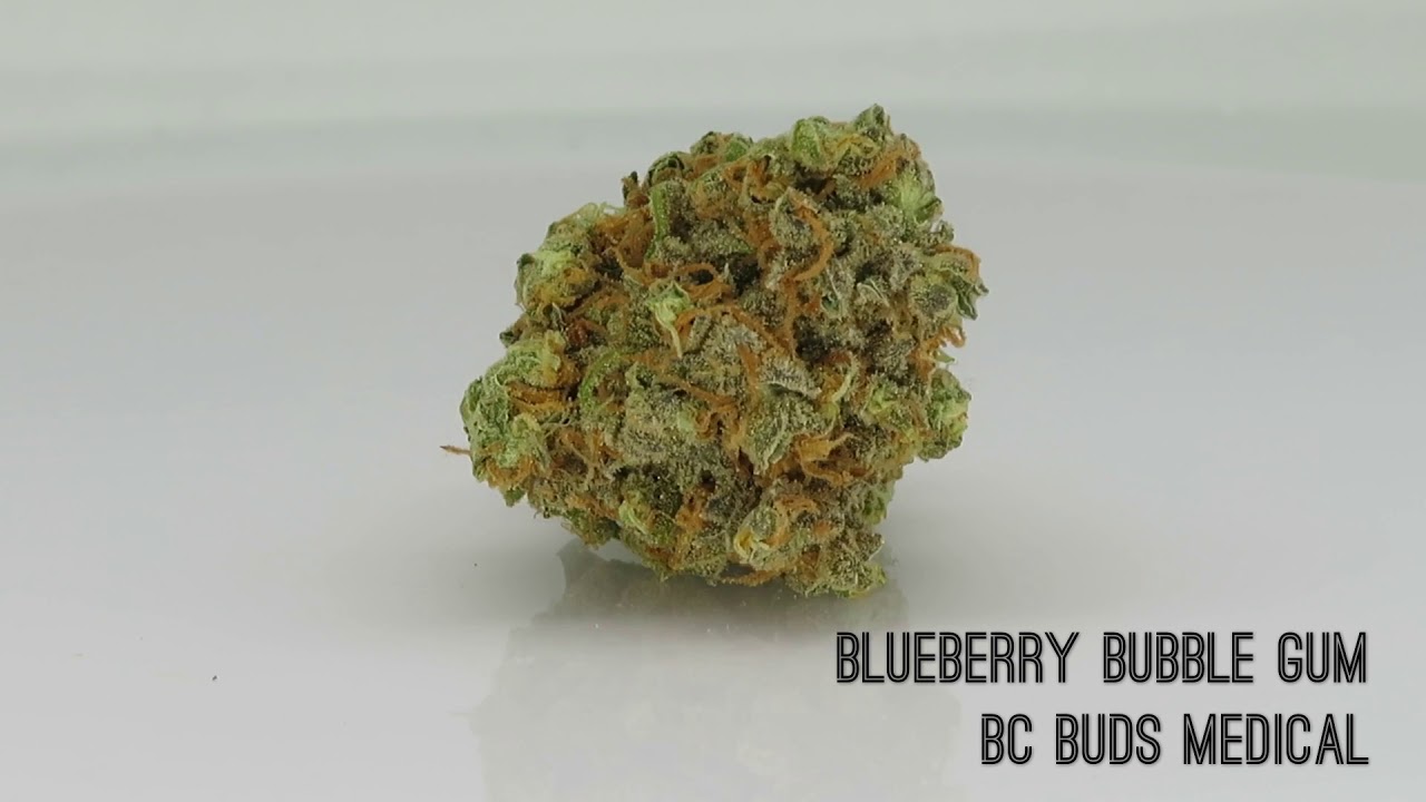 BCBM Blueberry Bubble Gum
