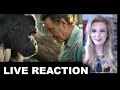 The One & Only Ivan Trailer REACTION