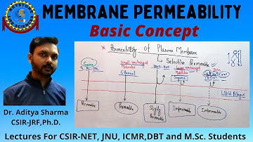 Membrane Permeability Basic Concept By Dr. Aditya Sharma CSIR-JRF, Ph.D. for #CSIR-NET, # JNU, #ICMR