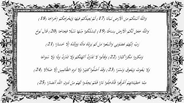 سورة نوح للقارئ أحمد عبد الرازق نصر تلاوة تهتز لها القلوب  720 X 1280