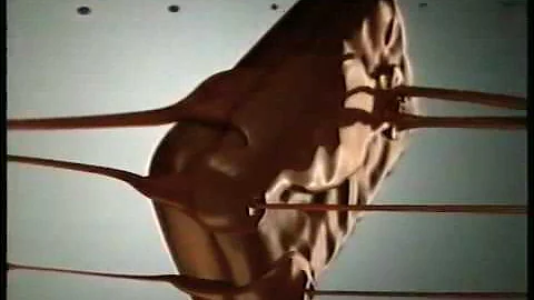 Arnott's Tim-Tam at Coles Westfield Geelong - 15sec Television Commercial, May 2009