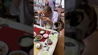 長楽寺と猫と朝ごはん。