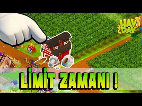 Zeytin! 1. Evresini Topladık.🌳😊│Hay Day #gameplay #hayday #500tilki