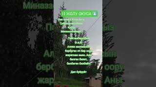 #намаз #ислам #коран #молитва #религия #сунна #дуба #аллоху
