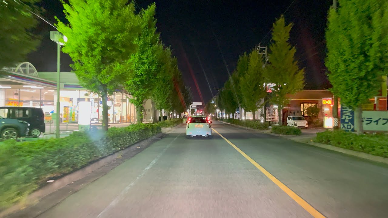 CITY NIGHT DRIVING from Okazaki via Kota Town to Gamagori Aichi Japan